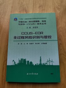 中国石油二氧化碳捕集、利用与封存CCUS技术丛书    CCUS--EOR  全过程风险识别与管控