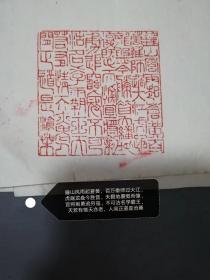 青田石印[敬刻毛主席诗词.七律-人民解放军占领南京.青田冻石大印]