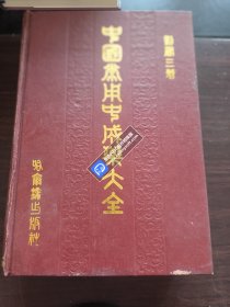 中国常用中成药大全（精装）