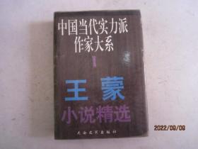 中国当代实力派作家大系--王蒙小说精选（精装