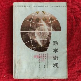 《数学奇观》李天华许济华编著 湖北少年儿童出版社1989年版旧书八五成新