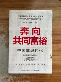 奔向共同富裕（读懂共同富裕，看清未来中国！深入浅出，雅俗共赏，两大TOP级智库联袂巨献，通俗理论重磅大作！）