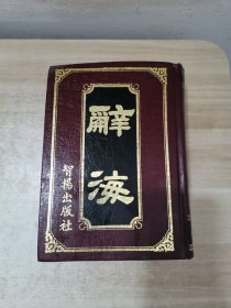 辞海 智扬出版社