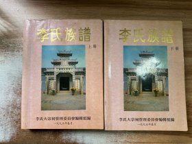 李氏族谱 上下册