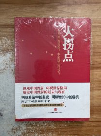 大拐点：世界经济裂变，中国路在何方？