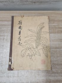 岭南草药志（精装）