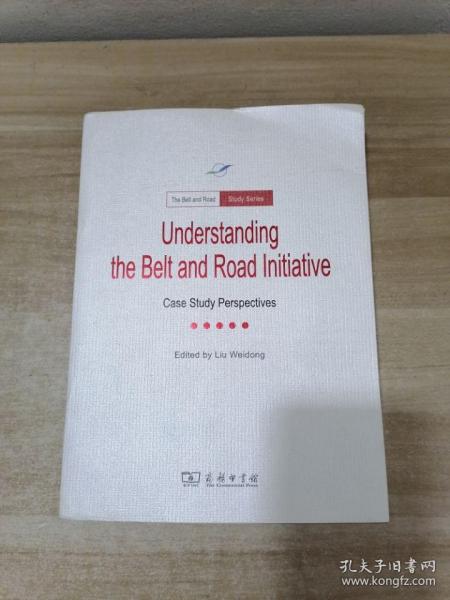 Understanding The Belt and Road Initiative: Case study perspectives(一带一路·专题研究系列)