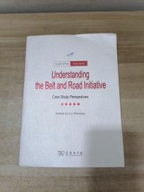 Understanding The Belt and Road Initiative: Case study perspectives(一带一路·专题研究系列)