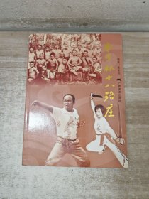南少林十八路庄