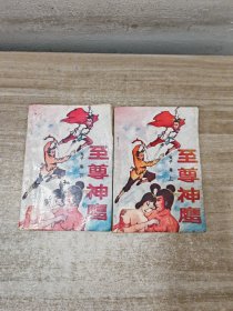 至尊神鹰（上下）2册全