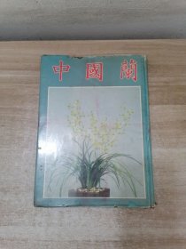 中国兰花