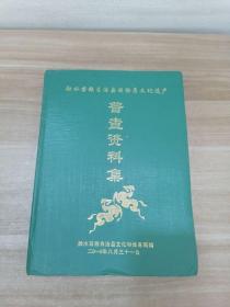 融水苗族自治县非物质文化遗产普查资料集