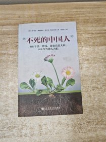 “不死的中国人”：他们干活，挣钱，改变着意大利，因此令当地人害怕