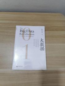 大数据：正在到来的数据革命，以及它如何改变政府、商业与我们的生活..