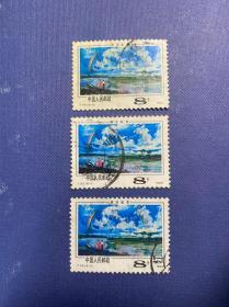 T55西双版纳（6-3）8分（无薄裂随机发货）邮票信销JT老旧邮票
