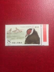 T134褐马鸡（2-1）8分（新上品红色标）邮票JT经典老邮票