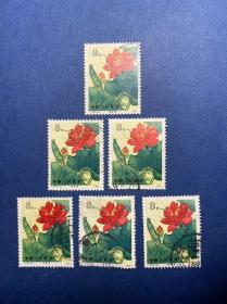 T54荷花（4-3）8分（无薄裂随机发货）邮票信销JT老旧邮票