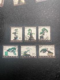 T61盆景邮票盖销信销筋票JT邮票套