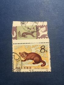 T68紫貂（2-1）8分邮票信销筋保真包品老旧邮票1