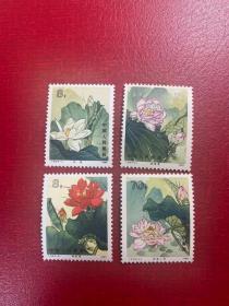 T54荷花（低分弱一个齿其它全品）邮票JT经典邮票