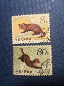 T68紫貂邮票信销筋保真包品老旧邮票套3