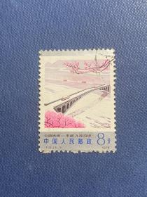 T31桥（5-3）8分（无薄裂随机发货）邮票信销JT旧经典邮票
