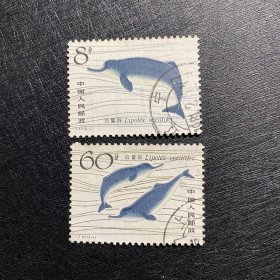 T57白鳍豚邮票信销JT经典老旧邮票