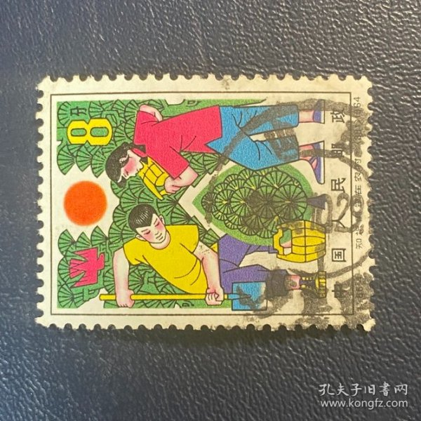 特66知青8分邮票信销老纪特经典老旧邮票