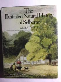 铜版纸 插图版 《塞耳彭自然史》 The Natural History of Selborne