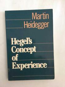 Hegel's Concept of Experience