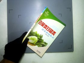 白菜类甘蓝类蔬菜栽培技术