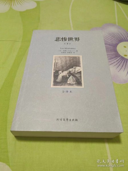 世界文学名著:悲惨世界(全译本)(套装共2册)