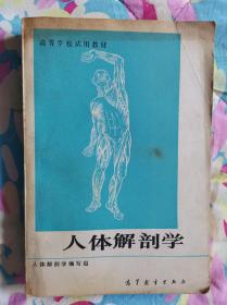 人体解剖学