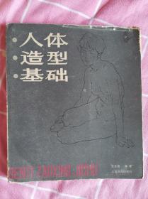 人体造型基础