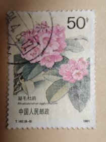新中国邮票 T162 8-5 杜鹃花 凝毛杜鹃 中国人民邮政 50分