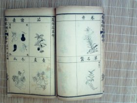 A1484，民国元年鸿宝斋精美石印全图医学古籍：增广本草纲目图卷，存线装2厚册卷上、卷中，每册50多筒子页，大量精美药材图，品佳