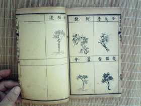 A1484，民国元年鸿宝斋精美石印全图医学古籍：增广本草纲目图卷，存线装2厚册卷上、卷中，每册50多筒子页，大量精美药材图，品佳