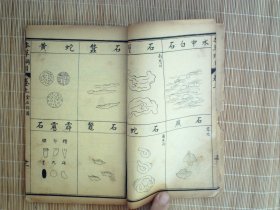 A1484，民国元年鸿宝斋精美石印全图医学古籍：增广本草纲目图卷，存线装2厚册卷上、卷中，每册50多筒子页，大量精美药材图，品佳