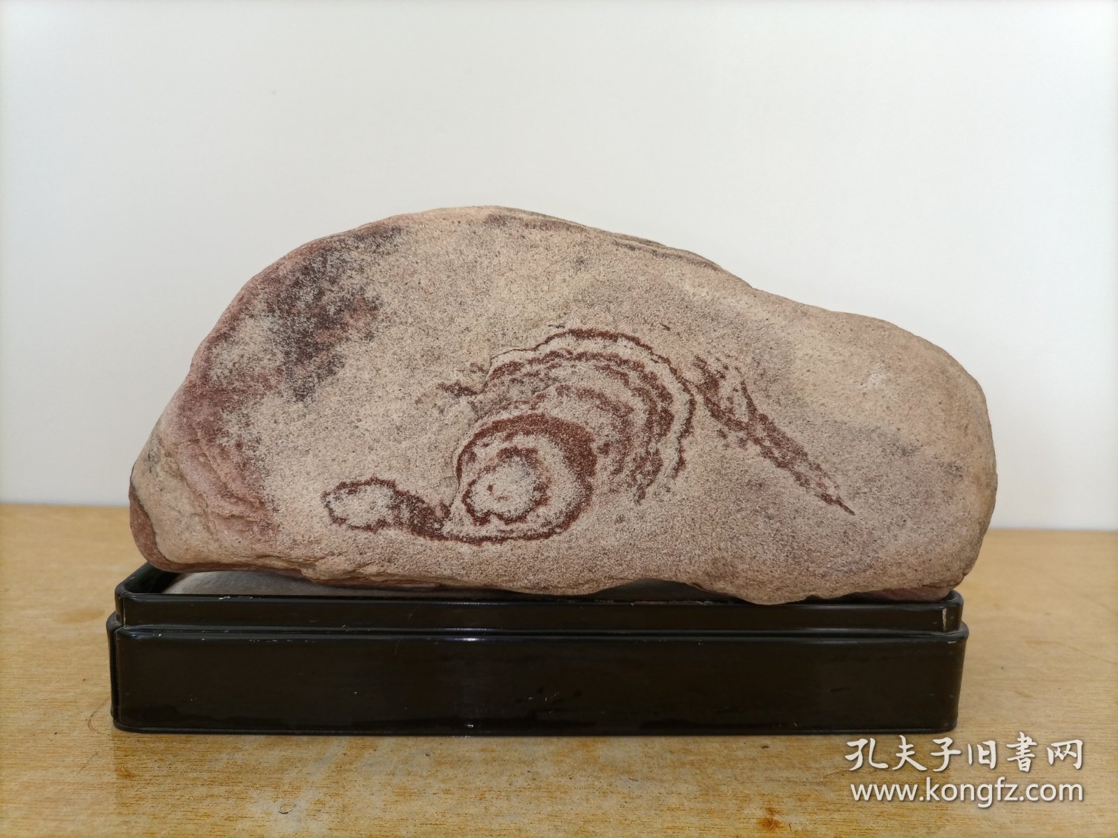新进卫河珍品玫瑰石原石5322“蜗牛、贪蛇忘尾（尾断了）”（一石两看，画面精美，石型端正，自然天成）