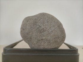 新进卫河珍珠原石5903、5905、5906、5907、5908（珍珠圆润，自然天成）（店庆大酬宾，可零售，共5块，每块1元）