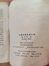 中国文学史四十讲