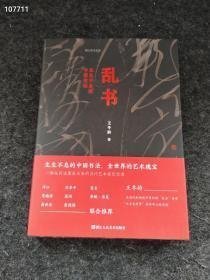 新书到货 乱书：生生不息的中国书法 湖山艺术文库 王冬龄 著 中国书法能真正影响世界吗 现代书法 书法理论 2023年出版 售价60元包邮