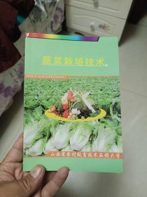 蔬菜栽培技术