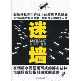 迷墻呂培偉當(dāng)代世界出9787509004906