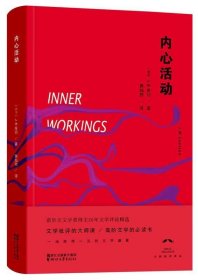 《内心活动：J.M.库切文学评论集》大师批评译丛