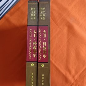 世界文学经典名著：大卫·科波菲尔（上下）W201910-08