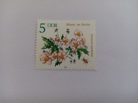 东德邮票 德国邮票 5Pfg 1982年鲜花 秋季花卉 银莲花 打破碗花花 新票未使用 花卉邮票