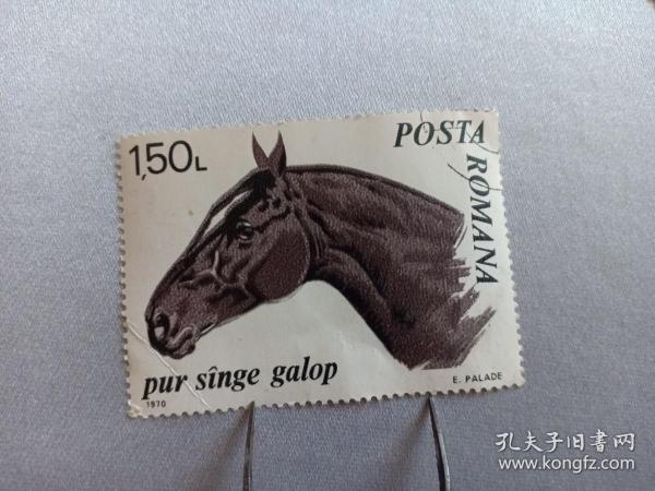 罗马尼亚邮票 生肖马 宝马 1970年发行 大幅邮票 1947年成立罗马尼亚人民共和国，1965年，改名为罗马尼亚社会主义共和国 罗马尼亚社会主义共和国邮票
