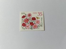 东德邮票 德国邮票 35Pfg 1982年鲜花 秋季花卉 波斯菊 新票未使用 花卉邮票