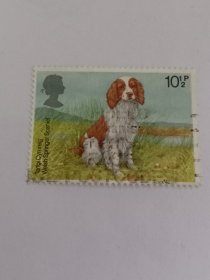 英国邮票 10½P 1979年狗 威尔士史宾格犬